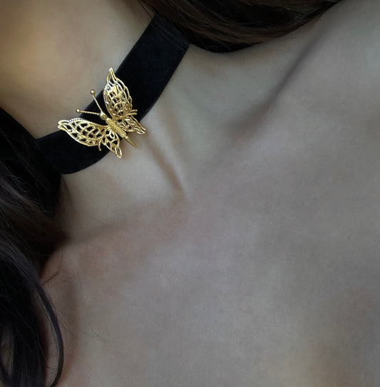 Nocturne Butterfly