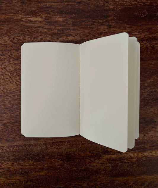 Notebook III