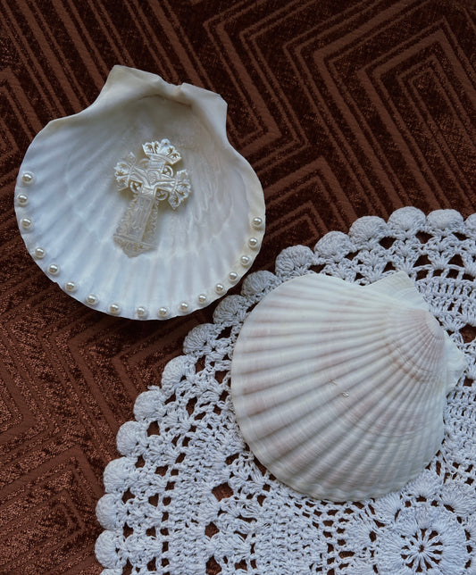 Natural Scallop seashell