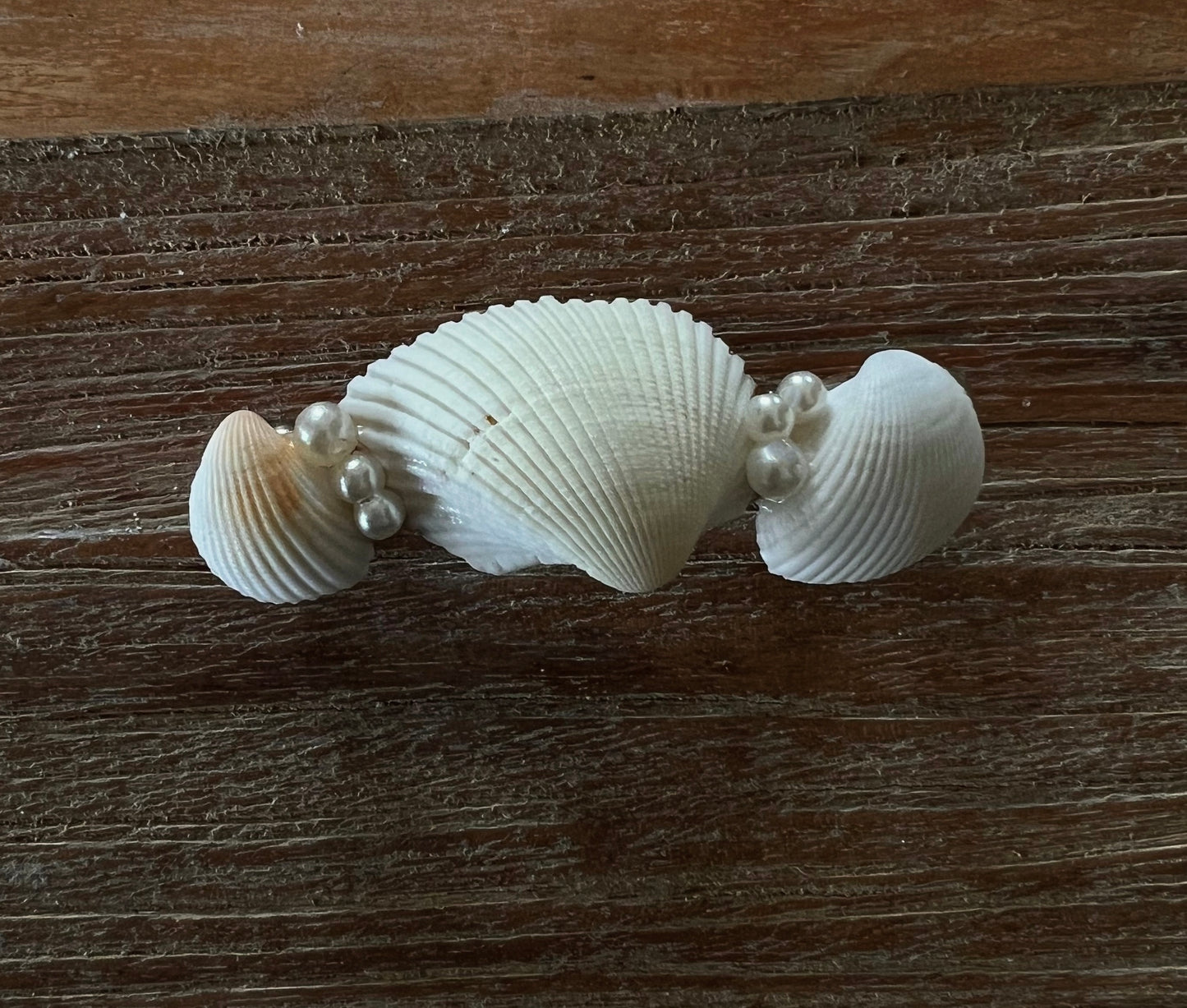 Seashell hair clip